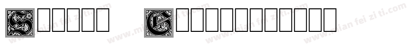 Solano Gothic字体转换